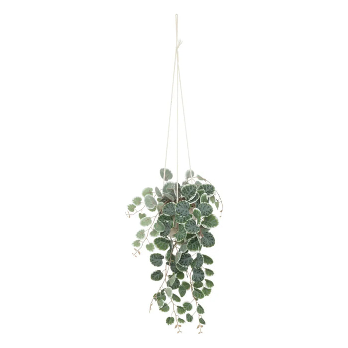 Plante artificielle suspendue "Lour" - pot en ciment - H80 cm