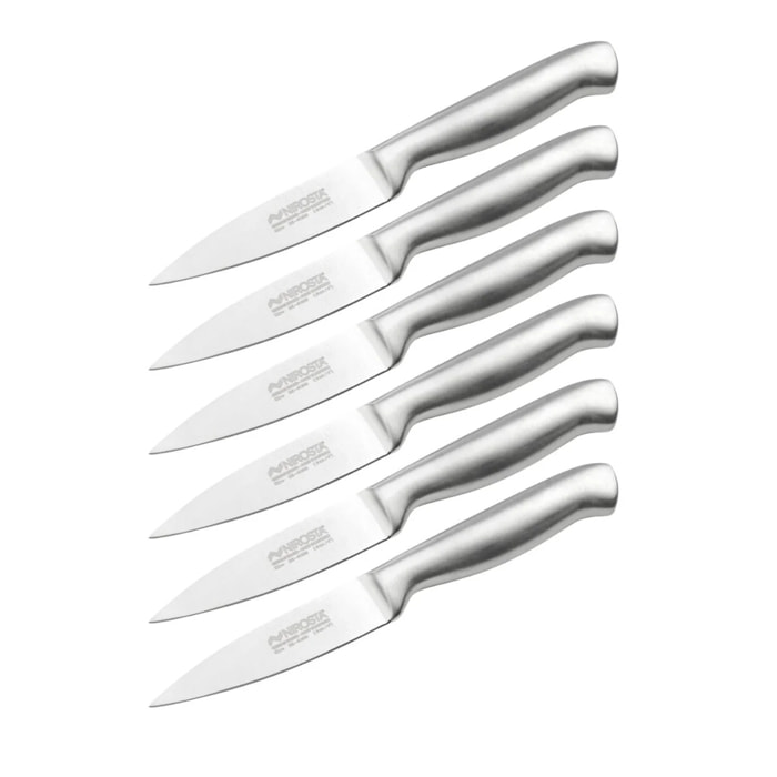 Ensemble de 6 Couteaux d'office en inox 20 cm en tout Nirosta Star