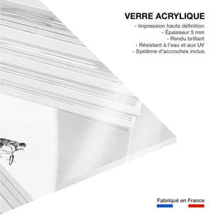 Tableau design Freestyle art Tableau plexiglas