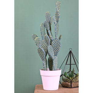 Cactus Opunthia Con Vaso. Altezza 56 Cm - Pezzi 1 - 14X56X14cm - Colore: Verde - Bianchi Dino - Piante Artificiali