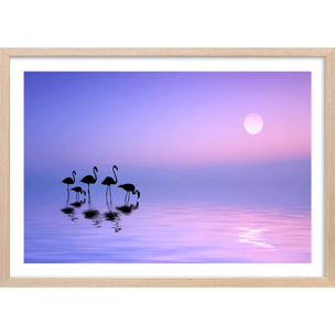 Affiche animaux Morning Flamingo Affiche + cadre en bois - Chêne