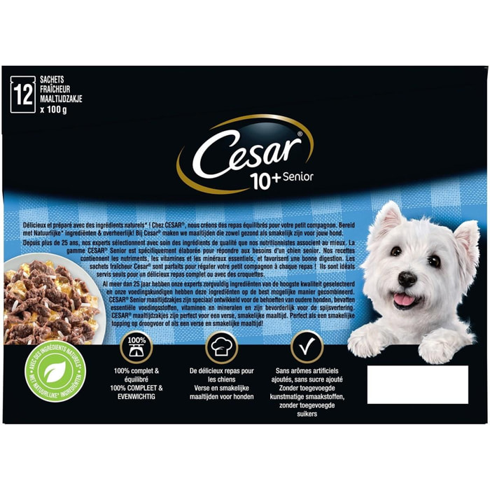 CESAR 72 Sachets fraîcheur en gelée 4 variétés pour chien senior 100g (6x12)