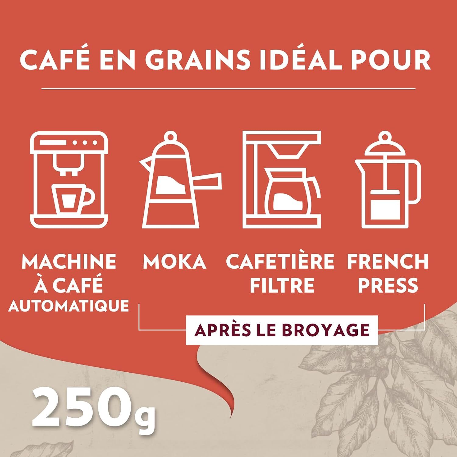 Café Grains Tales Of Roma 450G