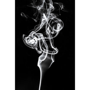 Tableau  white smoke tulip dream Tableau alu Dibond