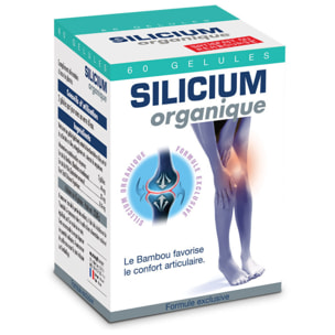 NUTRIEXPERT – Silicium Organique V3 – Renforce souplesse et confort des articulations – Riche en Silicium Organique Origine végétale – Extraits Bambou et Prêle – Reminéralisation osseuse - Cure 30j