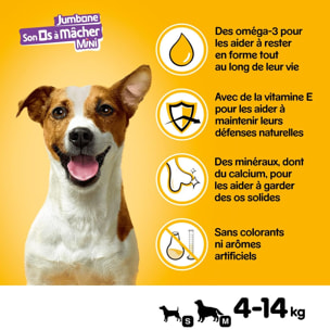 PEDIGREE Son Os à Mâcher Récompenses pour petit chien 48 friandises (12x4)