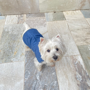 Abrigo para mascotas hearts&homies azul