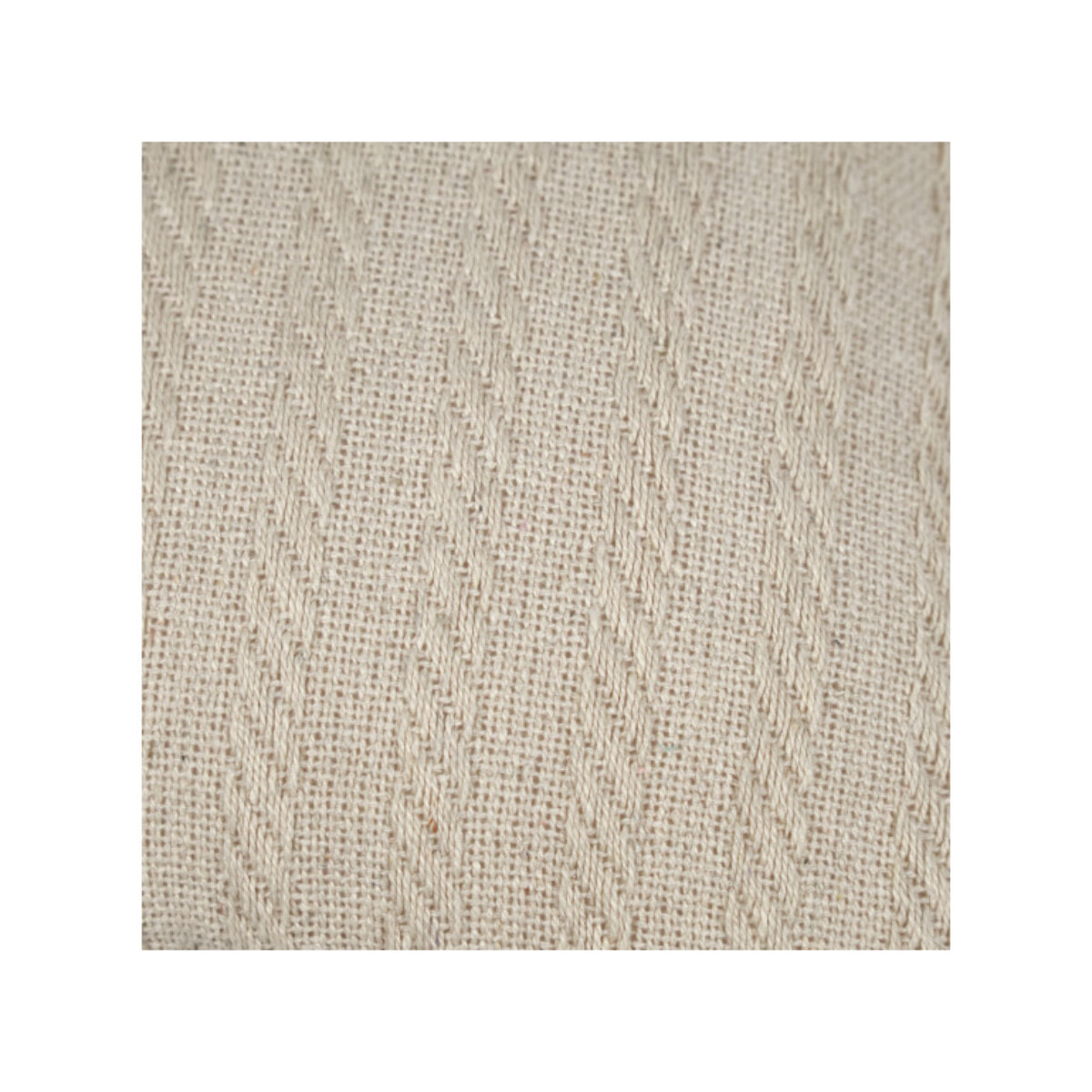 Lot de 2 coussins 40 x 40 cm en coton brodés beige - PLUME