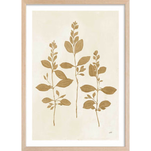 Affiche fleurs Recolte d'or Fresca Affiche + cadre en bois - Chêne