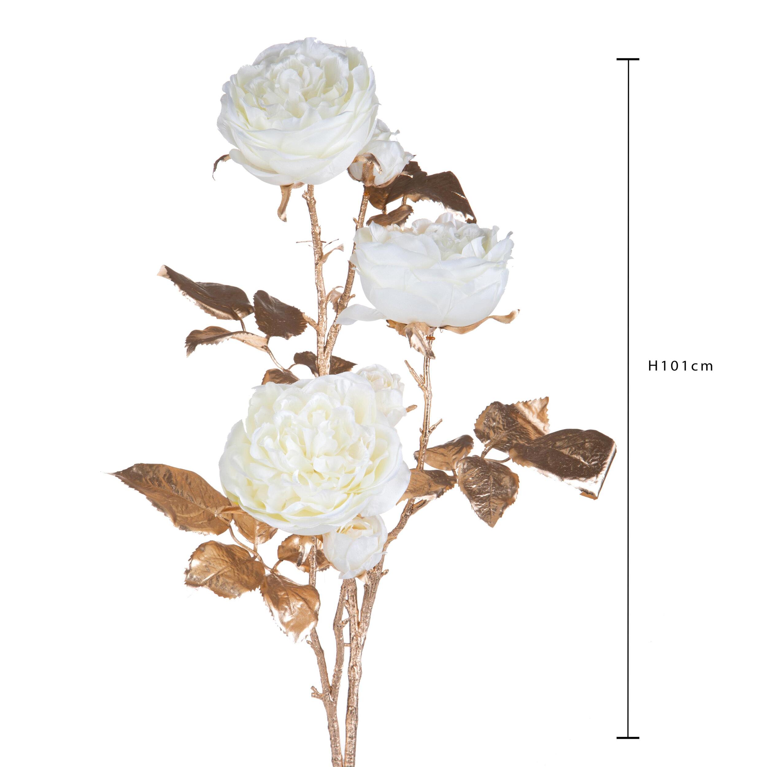 Rosa inglese - Pezzi 6 - 21xH101x20cm - Bianchi Dino SpA