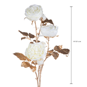 Rosa inglese - Pezzi 6 - 21xH101x20cm - Bianchi Dino SpA