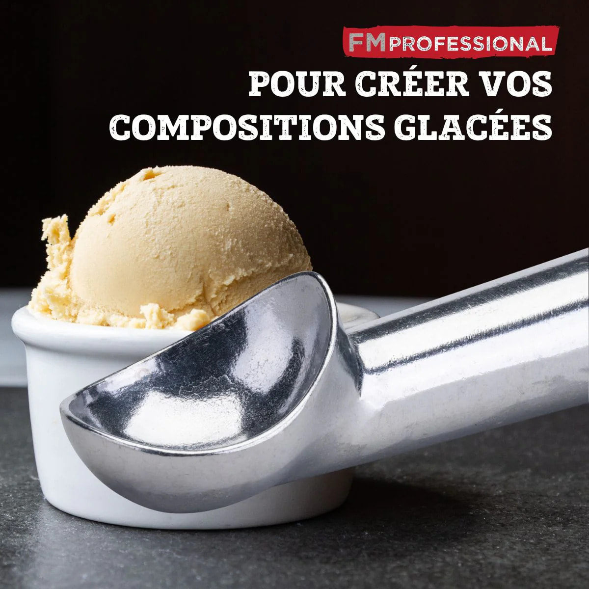 Cuillère à glace FM Professional