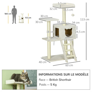 Arbre à chat multi-équipement griffoirs niche plateformes échelle jeu boule suspendue crème