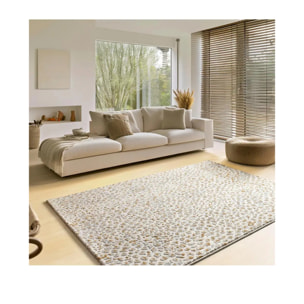 AMARA Alfombra moderna con relieve plata, varias medidas disponibles.