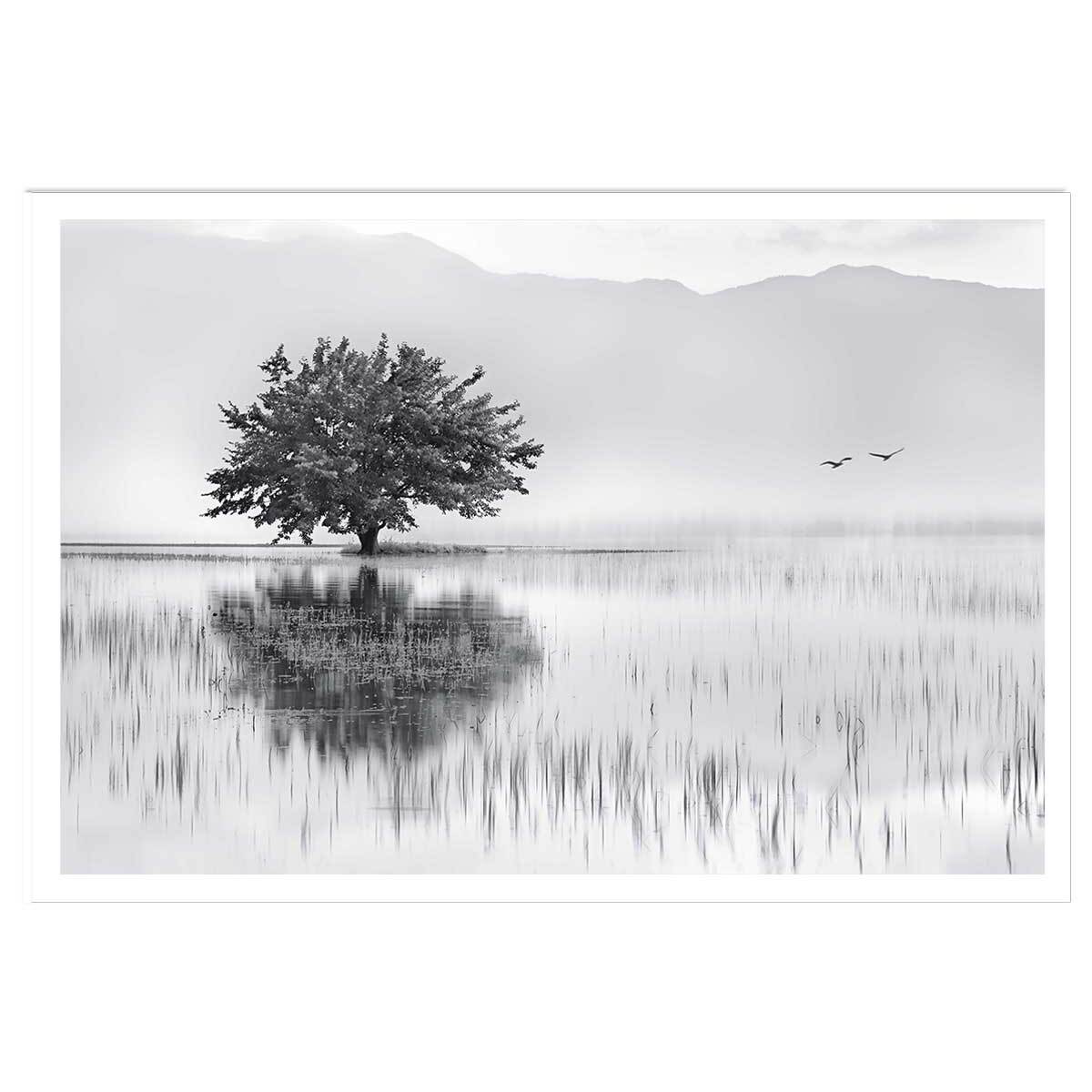 Affiche nature reflets d'eau Affiche seule