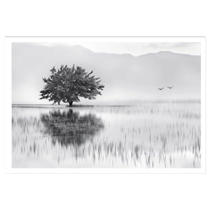 Affiche nature reflets d'eau Affiche seule