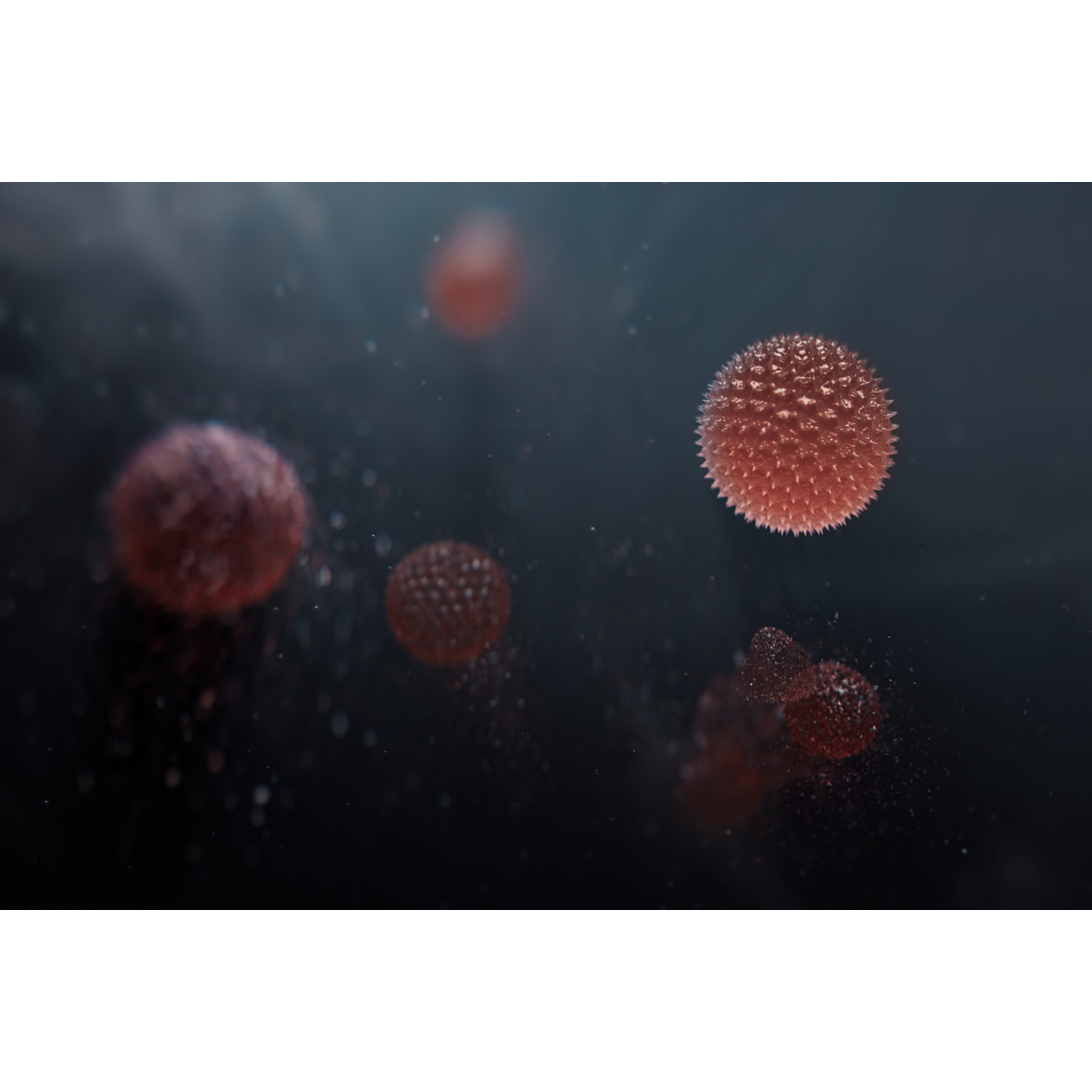 AEG Filtro de protección contra olores y gases Filtro para Multi 7000 AFFBTH2