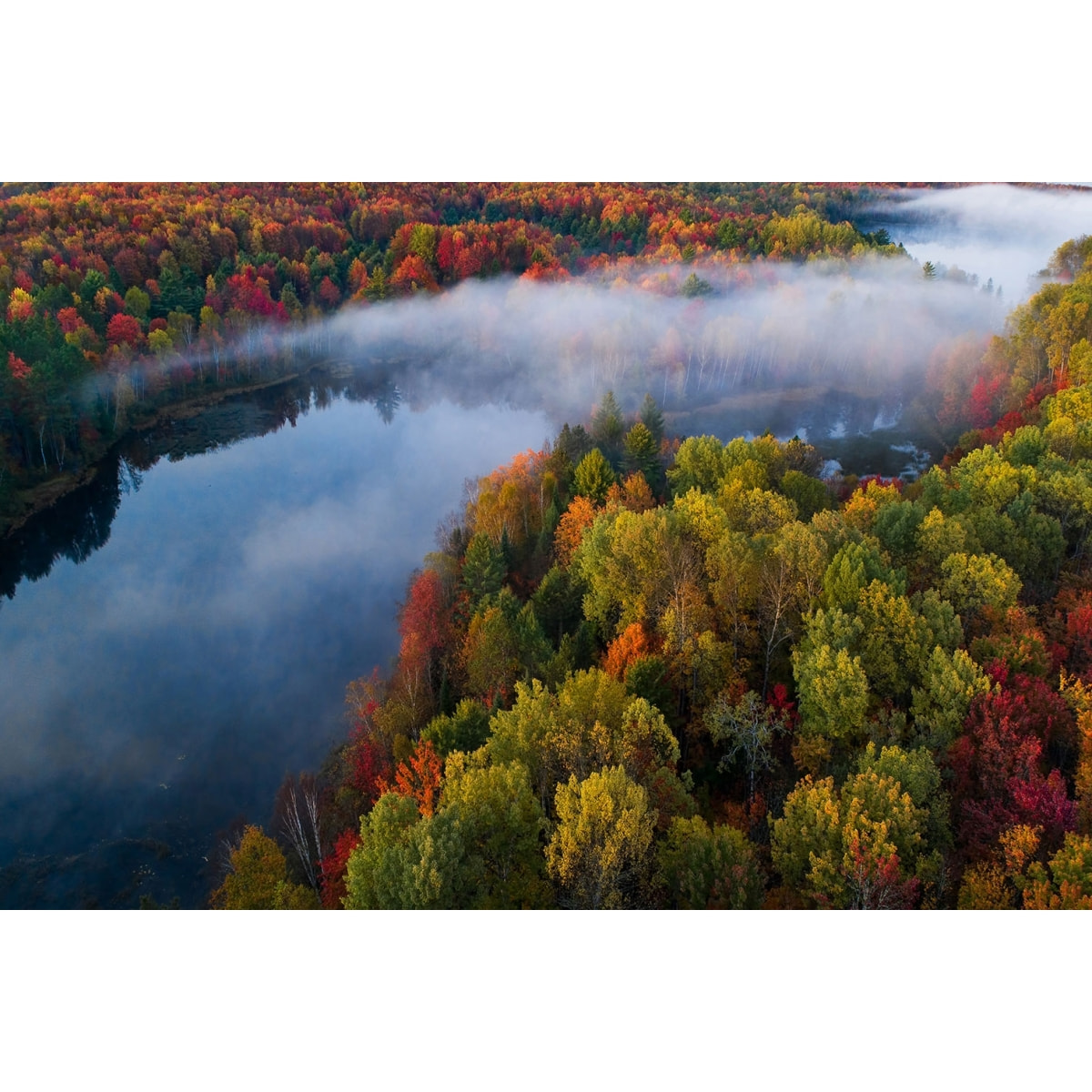 Tableau forêt et symphonie d'automne Tableau plexiglas