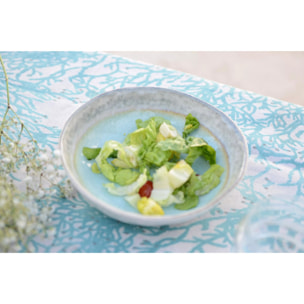 Lot de 6 ASSIETTE CREUSE TURQUOISE EN PORCELAINE 20X20X5CM