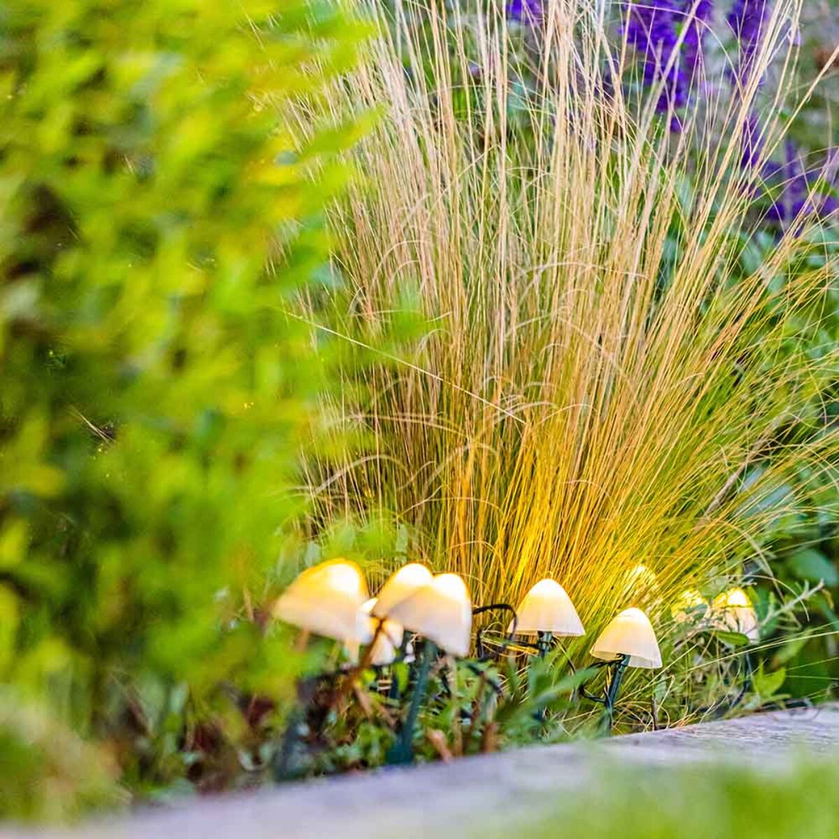 10 Champignon solaire CHAMPY 3.8M