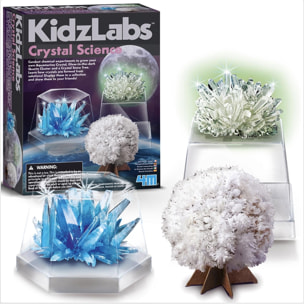 Kidzlabs - La Scienza dei Cristalli