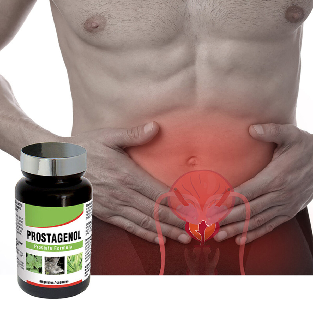 NUTRI EXPERT - Prostagenol - Confort urinaire et maintien du fonctionnement de la prostate - 60 gélules végétales - Lot de 2 produits