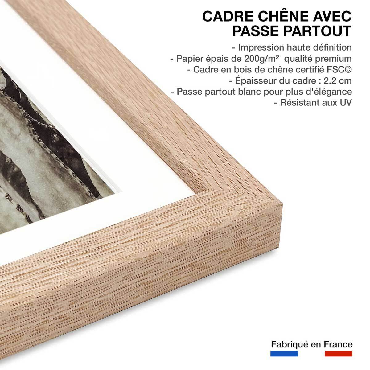 Poster cactus mood Affiche sous cadre bois