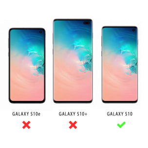 Coque Samsung Galaxy S10 Samsung 360 degrés intégrale protection avant arrière silicone transparente