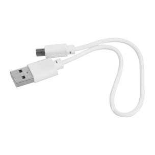 PowerBank P31 wireless Qi da 20.000 mAh con uscita USB da 2,1 A