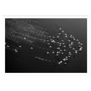 Affiche Take off Affiche seule