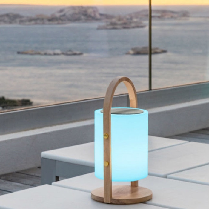 Lampe enceinte bluetooth sans fil WOODY PLAY H37CM