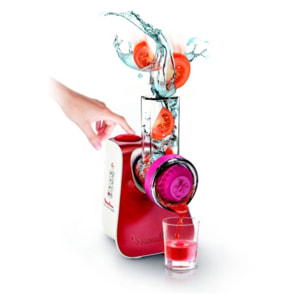 Râpe légumes électrique MOULINEX FRESH EXPRESS NECTAR 4en1 DJ764510