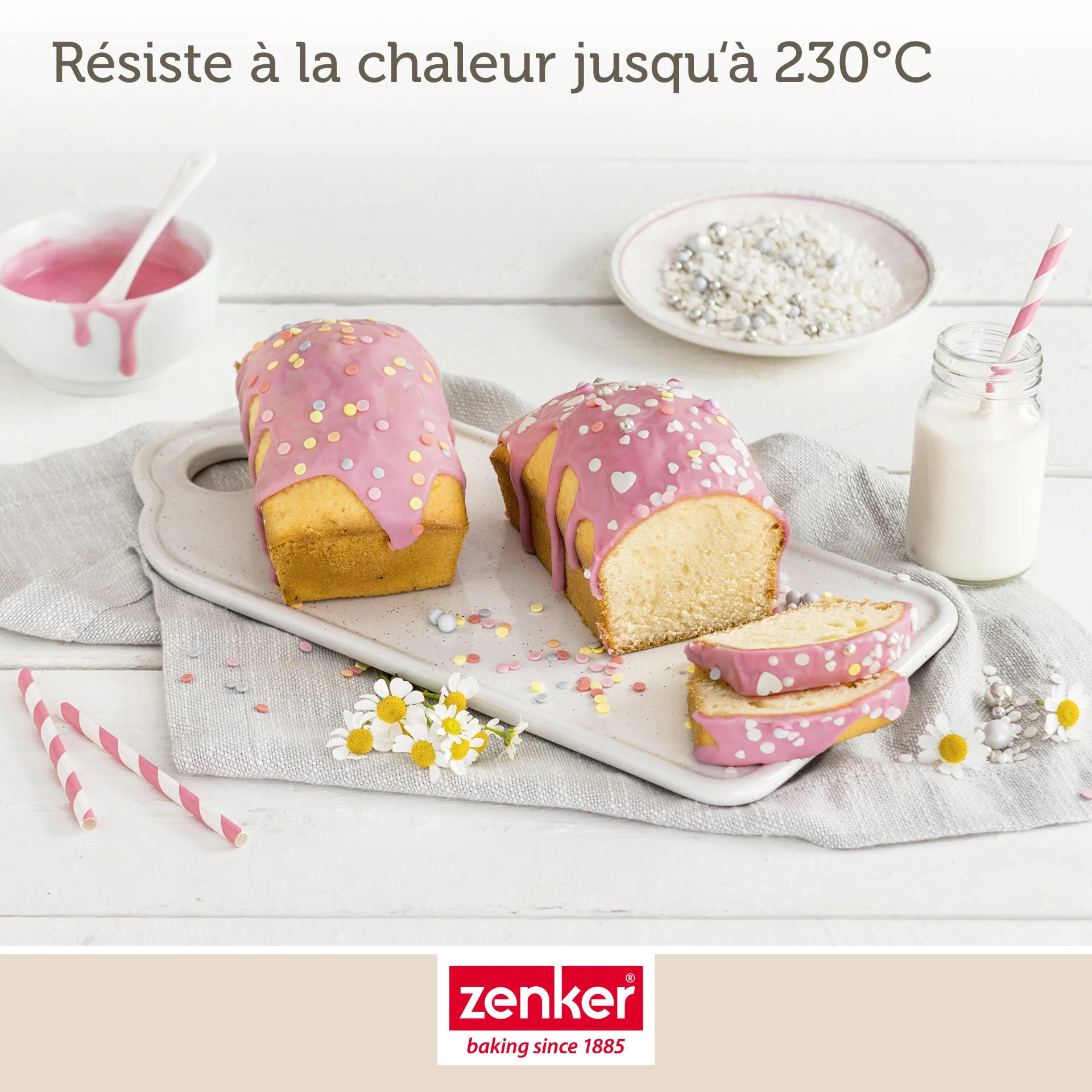 Moule à cake Zenker Special Mini