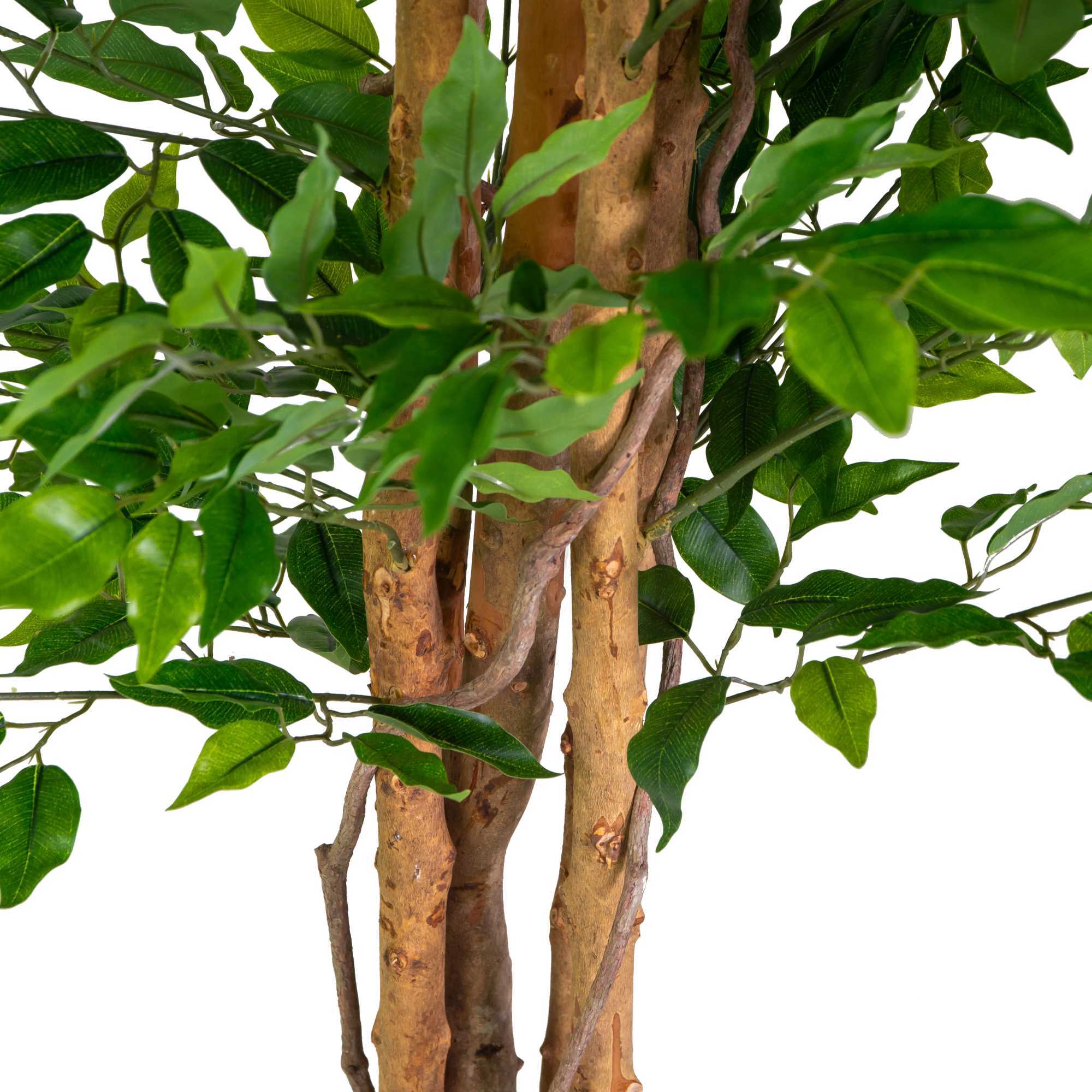 Pianta artificiale Vacchetti in plastica ficus cm h120