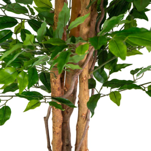 Pianta artificiale Vacchetti in plastica ficus cm h120