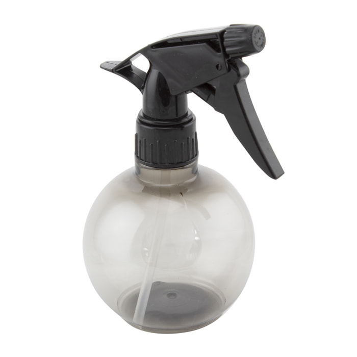 Atomisateur de spray