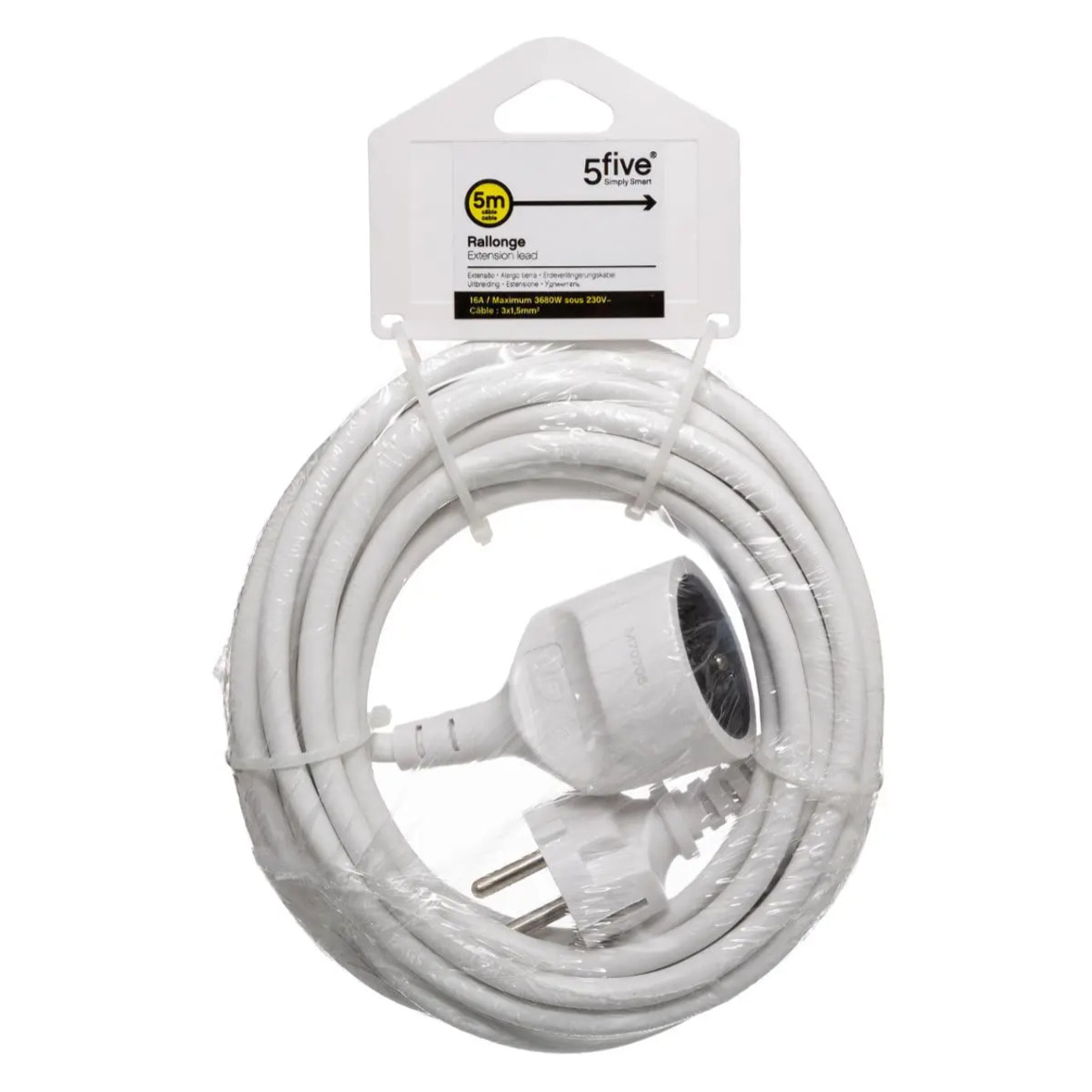 Rallonge prise avec terre 5 m