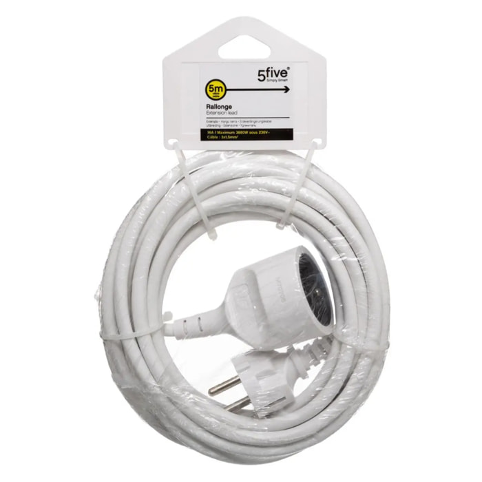 Rallonge prise avec terre 5 m