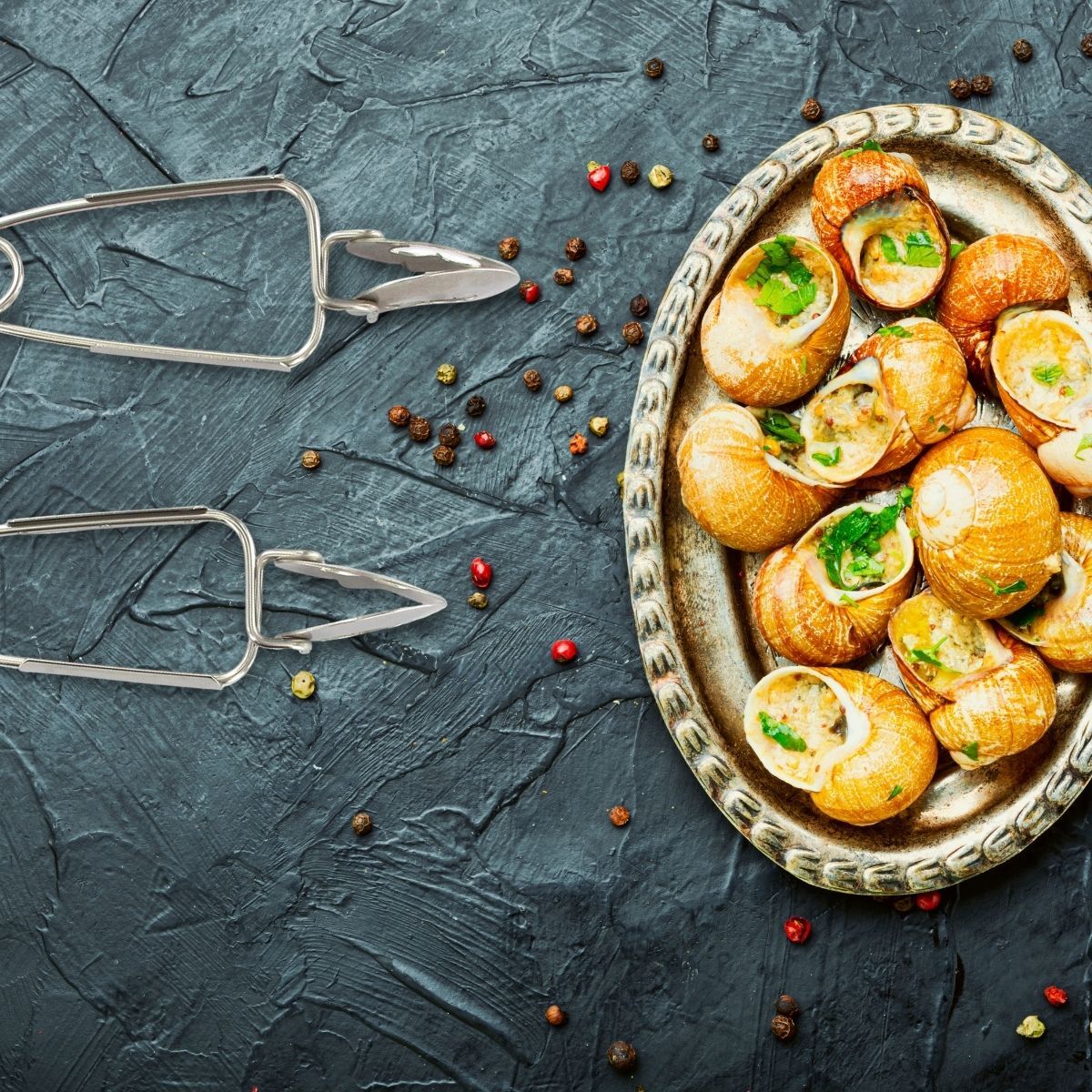 Lot de 4 pinces à escargots Fackelmann