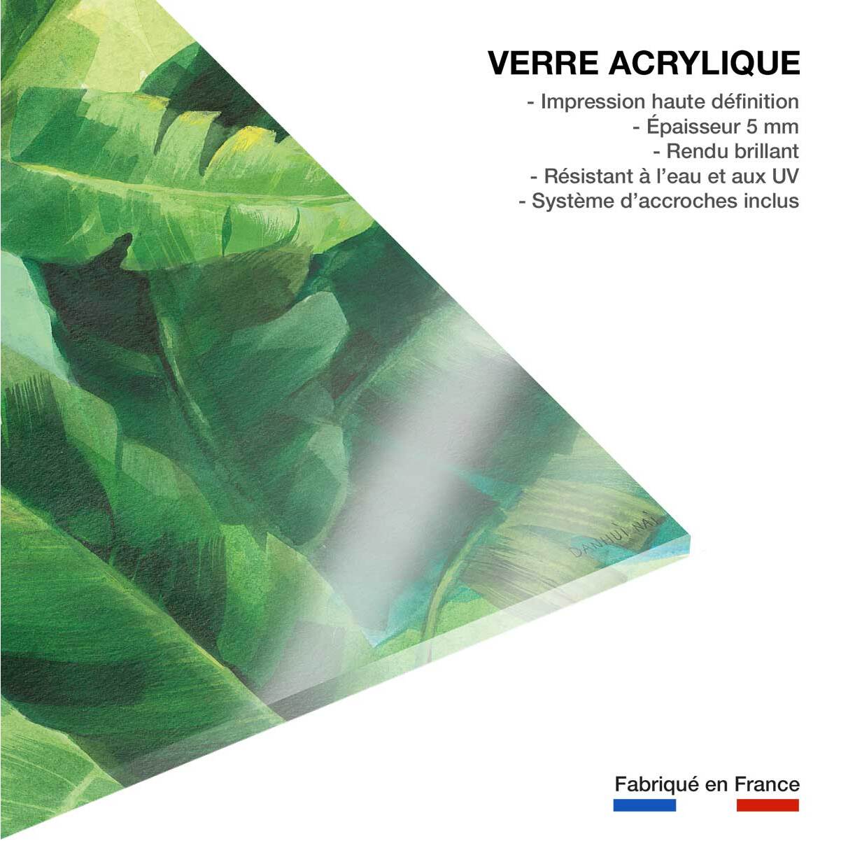 Tableau botanique palmier palmiers des tropiques ii  Tableau plexiglas