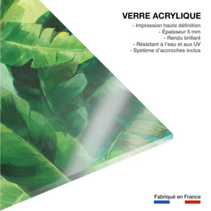 Tableau botanique palmier palmiers des tropiques ii  Tableau plexiglas