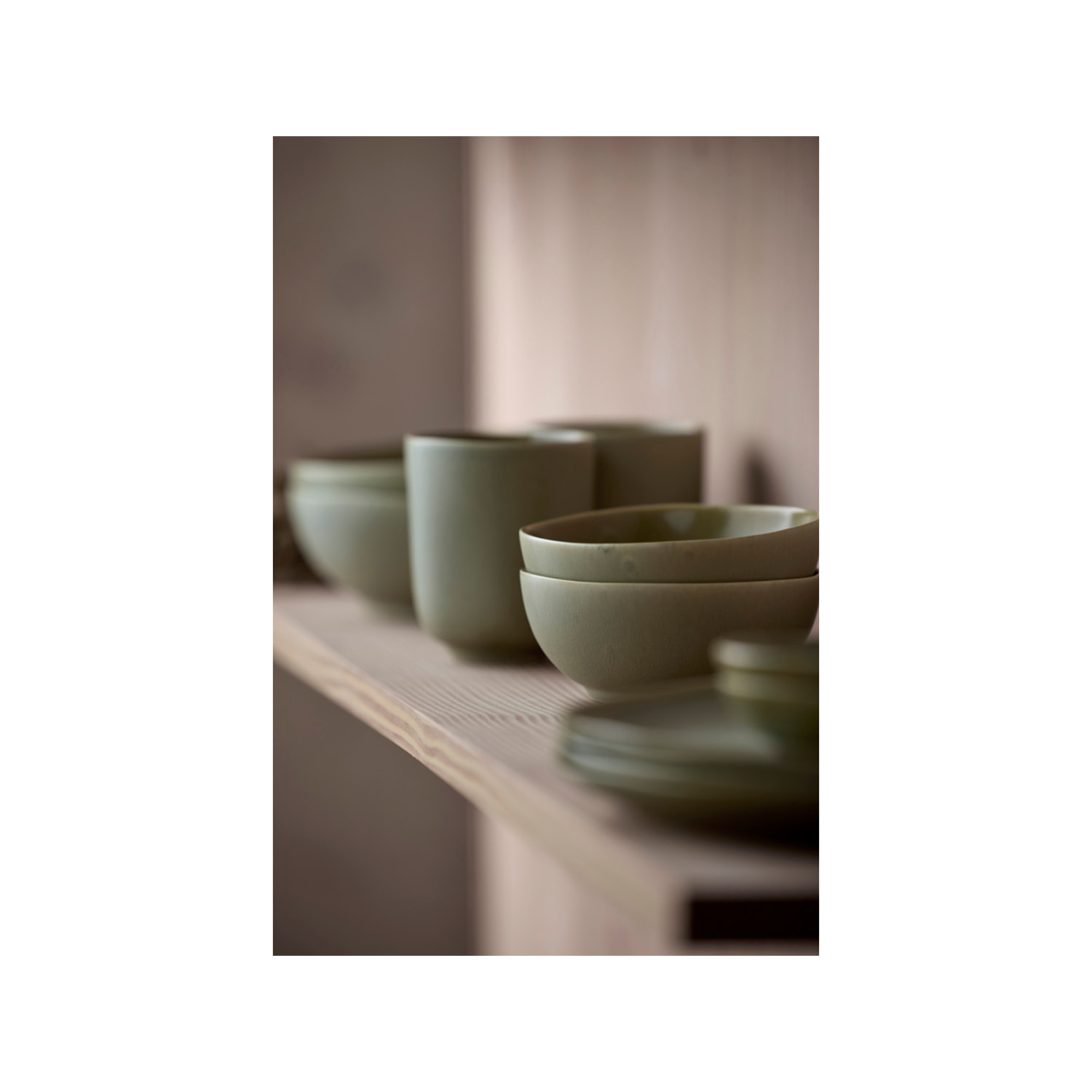 Assiette plate Shoku