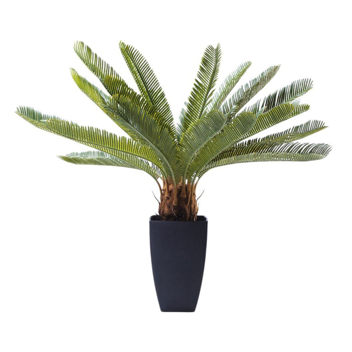 Plante décorative Cycas 78cm Kare Design