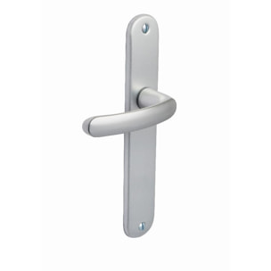 Ensemble de porte Budget BEZAULT entraxe 165mm Bec de cane - Argent - 73118
