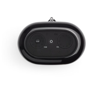 Radio DAB JBL Tuner XL Noir