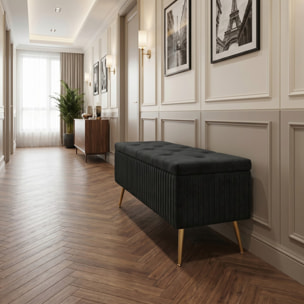 Panca Contenitore in Effetto Velluto a Coste con Ampio Vano Contenitore, Seduta Imbottita e Gambe in Acciaio, Design Moderno per Camera da Letto, Ingresso e Soggiorno