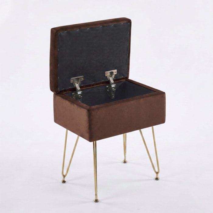 Panca Contenitore in Effetto Velluto con Seduta Imbottita e Vano Portaoggetti, Design Moderno con Gambe in Acciaio per Ingresso, Camera da Letto e Soggiorno