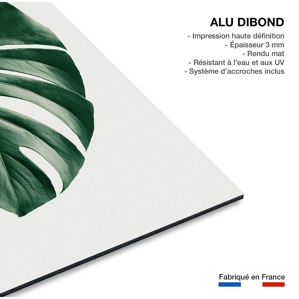 Tableau monstera perfect Tableau alu Dibond