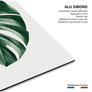 Tableau monstera perfect Tableau alu Dibond