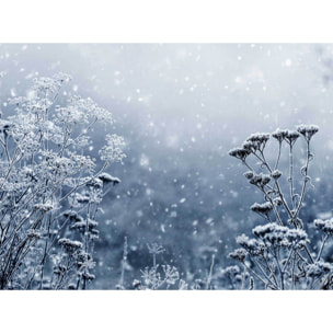 Papier peint panoramique Givre bleu  Intissé